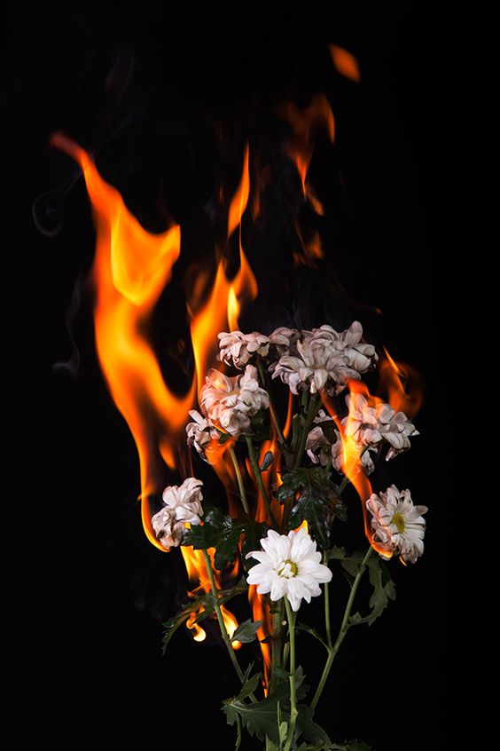 81596773_2493293414291813_4396455998814945280_n JE VEUX TA COLÈRE. JE VEUX TON FEU.